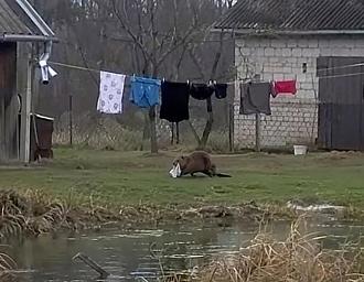 Нажмите на изображение для увеличения.

Название:	FB_IMG_1784831346995.jpg
Просмотров:	17
Размер:	80.3 Кб
ID:	4567385