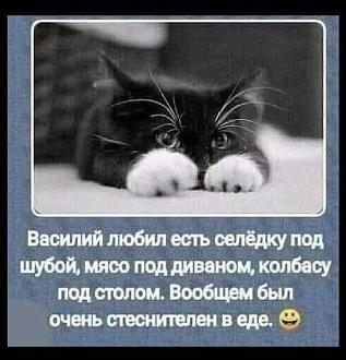 Нажмите на изображение для увеличения.

Название:	749301516_122325339518243668_5358968722910838592_n.jpg
Просмотров:	17
Размер:	56.2 Кб
ID:	4567407