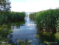 Нажмите на изображение для увеличения.  Название:	IMG_20260726_123724.jpg Просмотров:	0 Размер:	644.8 Кб ID:	4567624