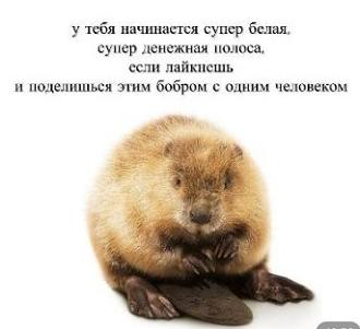 Нажмите на изображение для увеличения.

Название:	Скриншот 26-07-2026 195720.jpg
Просмотров:	0
Размер:	21.5 Кб
ID:	4567638