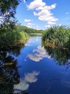 Нажмите на изображение для увеличения.

Название:	IMG_20260726_122336.jpg
Просмотров:	40
Размер:	587.3 Кб
ID:	4567734