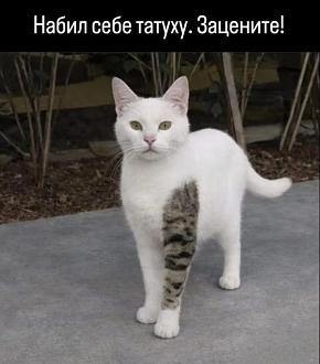 Нажмите на изображение для увеличения.

Название:	11zon_cropped (9).jpeg
Просмотров:	202
Размер:	82.4 Кб
ID:	4568074