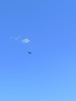 Нажмите на изображение для увеличения.  Название:	IMG_20260804_164806_028.jpg Просмотров:	0 Размер:	127.7 Кб ID:	4568395