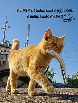 Нажмите на изображение для увеличения.

Название:	11zon_cropped (81).jpeg
Просмотров:	72
Размер:	122.8 Кб
ID:	4568613