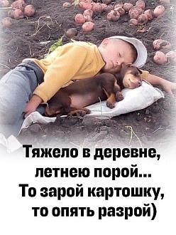 Нажмите на изображение для увеличения.

Название:	IMG_20260819_074432_627.jpg
Просмотров:	173
Размер:	150.3 Кб
ID:	4569662