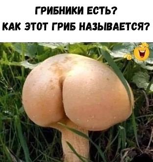 Нажмите на изображение для увеличения.

Название:	IMG_20260823_092601_296.jpg
Просмотров:	0
Размер:	139.7 Кб
ID:	4569963