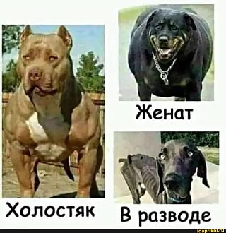 Нажмите на изображение для увеличения.

Название:	577dbe8f7f81a7823f11969a445fd060ff2013a44d4c0c09f164a2dce47f8b68_1.jpg
Просмотров:	17
Размер:	153.9 Кб
ID:	4570160