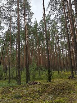 Нажмите на изображение для увеличения.  Название:	image_603796.jpg Просмотров:	6 Размер:	628.2 Кб ID:	4570952