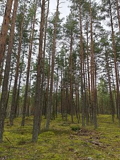 Нажмите на изображение для увеличения.  Название:	image_603800.jpg Просмотров:	6 Размер:	666.6 Кб ID:	4570956