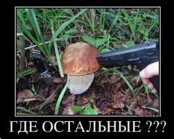 Нажмите на изображение для увеличения.

Название:	images (2).jpeg
Просмотров:	54
Размер:	19.4 Кб
ID:	4571092