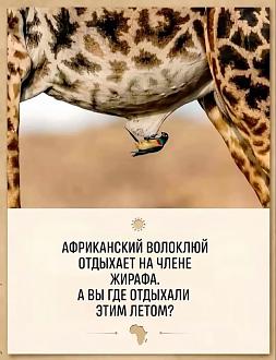 Нажмите на изображение для увеличения.

Название:	789554348_17895591381656545_5979674900501556809_n.jpg
Просмотров:	204
Размер:	136.4 Кб
ID:	4571116