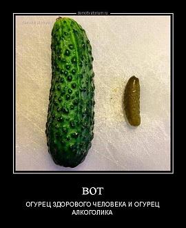 Нажмите на изображение для увеличения.

Название:	20260904_150637.jpg
Просмотров:	76
Размер:	89.5 Кб
ID:	4571772
