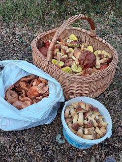 Нажмите на изображение для увеличения.  Название:	WhatsApp Image 2026-09-17 at 10.25.43.jpeg Просмотров:	0 Размер:	594.6 Кб ID:	4572666