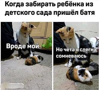 Нажмите на изображение для увеличения.

Название:	1785963448_11.jpg
Просмотров:	20
Размер:	76.4 Кб
ID:	4572749