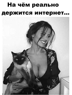 Нажмите на изображение для увеличения.

Название:	image_596410.jpg
Просмотров:	21
Размер:	108.9 Кб
ID:	4572831