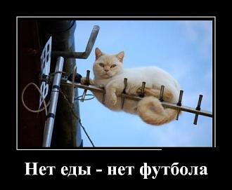 Нажмите на изображение для увеличения.

Название:	1459143087_demotivatory_na_subbotu_29_foto_12.jpg
Просмотров:	48
Размер:	50.5 Кб
ID:	4573845