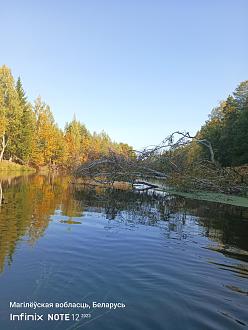 Нажмите на изображение для увеличения.

Название:	IMG_20261001_113738_934.jpg
Просмотров:	61
Размер:	414.3 Кб
ID:	4603421