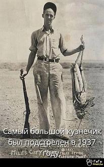 Нажмите на изображение для увеличения.

Название:	IMG-3de666d06810ee6a1cbfcd67a9a8bb45-V.jpg
Просмотров:	25
Размер:	87.2 Кб
ID:	4603446
