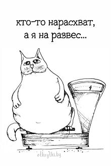 Нажмите на изображение для увеличения.

Название:	kartinka-pro-razves.jpg
Просмотров:	5
Размер:	149.7 Кб
ID:	4603547