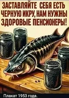 Нажмите на изображение для увеличения.

Название:	Скриншот 07-10-2026 231258.jpg
Просмотров:	8
Размер:	84.7 Кб
ID:	4603876