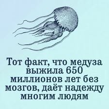 Нажмите на изображение для увеличения.

Название:	835529765_28681643154779508_4968905812356142052_n.jpg
Просмотров:	0
Размер:	16.1 Кб
ID:	4604184