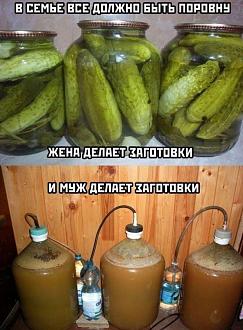 Нажмите на изображение для увеличения.

Название:	654x888_0xQqamhPgl_6704884687802705331.jpg
Просмотров:	115
Размер:	130.2 Кб
ID:	4604215