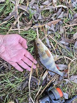 Нажмите на изображение для увеличения.  Название:	3.jpg Просмотров:	0 Размер:	524.2 Кб ID:	4604250