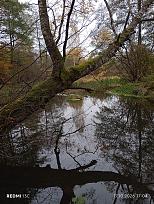 Нажмите на изображение для увеличения.

Название:	IMG_20261017_170412.jpg
Просмотров:	37
Размер:	702.3 Кб
ID:	4604618