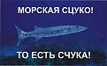 Нажмите на изображение для увеличения.

Название:	Счуко.jpg
Просмотров:	1615
Размер:	63.7 Кб
ID:	3326977