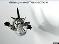 Нажмите на изображение для увеличения.

Название:	pjatneco_small.jpg
Просмотров:	2379
Размер:	96.8 Кб
ID:	3327218