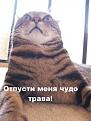 Нажмите на изображение для увеличения.

Название:	Graphic7.jpg
Просмотров:	1731
Размер:	93.6 Кб
ID:	3327577