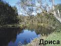 Нажмите на изображение для увеличения.

Название:	Дриса2.jpg
Просмотров:	615
Размер:	94.4 Кб
ID:	3327632