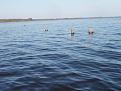 Нажмите на изображение для увеличения.

Название:	P1010001_resize.JPG
Просмотров:	8968
Размер:	24.4 Кб
ID:	3327679