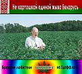 Нажмите на изображение для увеличения.

Название:	Канапелька.jpg
Просмотров:	756
Размер:	98.6 Кб
ID:	3328171