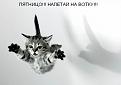 Нажмите на изображение для увеличения.

Название:	220906_5.jpg
Просмотров:	1413
Размер:	27.2 Кб
ID:	3328368