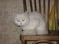 Нажмите на изображение для увеличения.

Название:	IMG_0908 [640x480].jpg
Просмотров:	563
Размер:	45.8 Кб
ID:	3328879