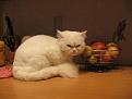 Нажмите на изображение для увеличения.

Название:	IMG_0909 [640x480].jpg
Просмотров:	546
Размер:	33.3 Кб
ID:	3328880