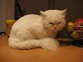 Нажмите на изображение для увеличения.

Название:	IMG_0910 [640x480].jpg
Просмотров:	554
Размер:	33.9 Кб
ID:	3328881