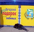 Нажмите на изображение для увеличения.

Название:	podarok.jpg
Просмотров:	1417
Размер:	38.1 Кб
ID:	3330401