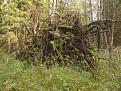 Нажмите на изображение для увеличения.

Название:	~_0918.jpg
Просмотров:	633
Размер:	97.4 Кб
ID:	3331409