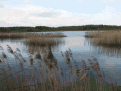 Нажмите на изображение для увеличения.

Название:	IMG_3478.gif
Просмотров:	2052
Размер:	83.0 Кб
ID:	3331593