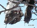 Нажмите на изображение для увеличения.

Название:	PICT0249.jpg
Просмотров:	516
Размер:	113.3 Кб
ID:	3333419