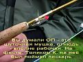 Нажмите на изображение для увеличения.

Название:	DSCN4551_resize.jpg
Просмотров:	270
Размер:	82.8 Кб
ID:	3334119