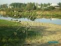Нажмите на изображение для увеличения.

Название:	р2.JPG
Просмотров:	1369
Размер:	147.6 Кб
ID:	3334466