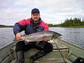Нажмите на изображение для увеличения.

Название:	salmon.jpg
Просмотров:	490
Размер:	173.6 Кб
ID:	3336198
