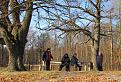 Нажмите на изображение для увеличения.

Название:	IMG_2508.jpg
Просмотров:	2623
Размер:	100.0 Кб
ID:	3336284