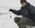 Нажмите на изображение для увеличения.

Название:	2008-01-13-26.jpg
Просмотров:	790
Размер:	64.7 Кб
ID:	3336942