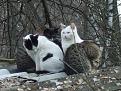 Нажмите на изображение для увеличения.

Название:	DSCF0802.jpg
Просмотров:	762
Размер:	128.9 Кб
ID:	3337943
