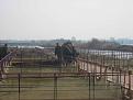 Нажмите на изображение для увеличения.

Название:	IMG_2769.jpg
Просмотров:	1097
Размер:	108.8 Кб
ID:	3338465