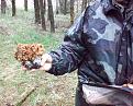 Нажмите на изображение для увеличения.

Название:	080413_145848.jpg
Просмотров:	1228
Размер:	262.9 Кб
ID:	3338657